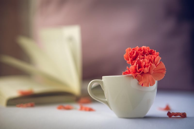 Outfitting Your Time Capsule
